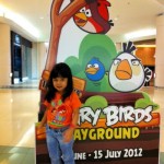 Angry Birds Playground