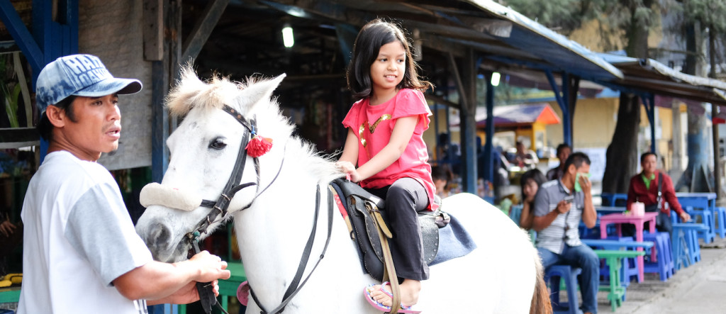 Kuda Cantik di Pasar Buah Berastagi