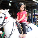 Kuda Cantik di Pasar Buah Berastagi