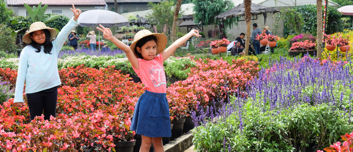 Warna-Warni Taman Begonia, Lembang