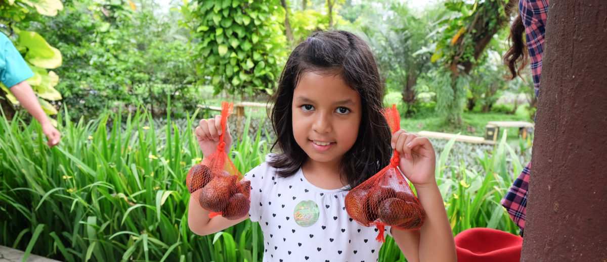 Main ke Taman Buah Mekarsari