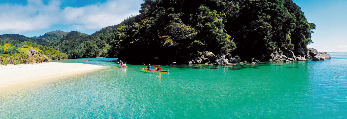 6 Things To Do in New Zealand