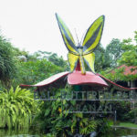 [Bali Trip] Kepompong Emas di Bali Butterfly Park