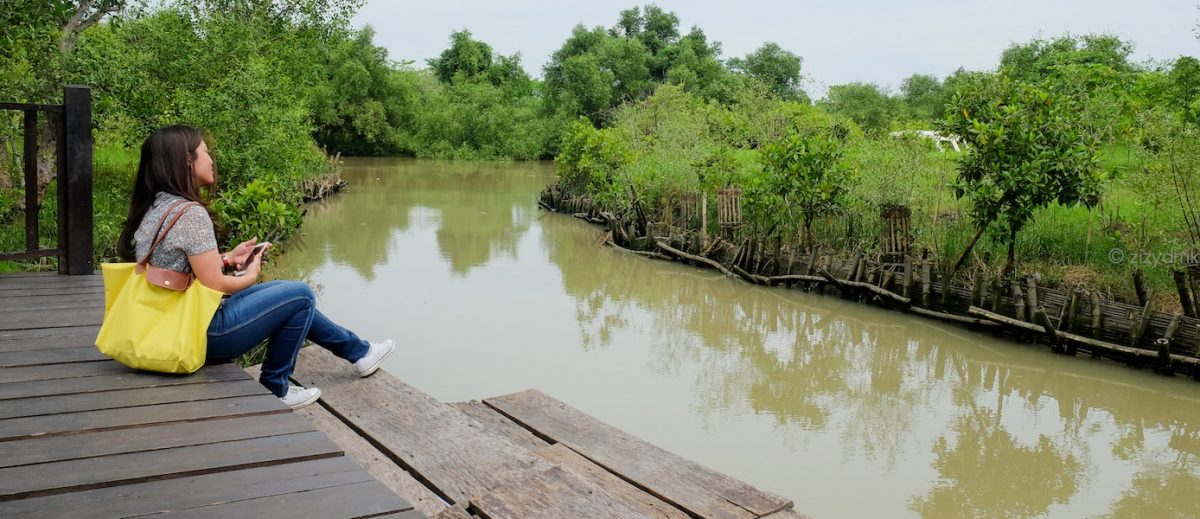 Wisata Hutan Mangrove di Surabaya