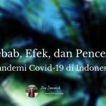 penyebab efek dan pencegahan pandemi covid019