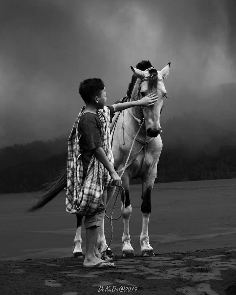 Foto Hitam Putih Kuda di Bromo