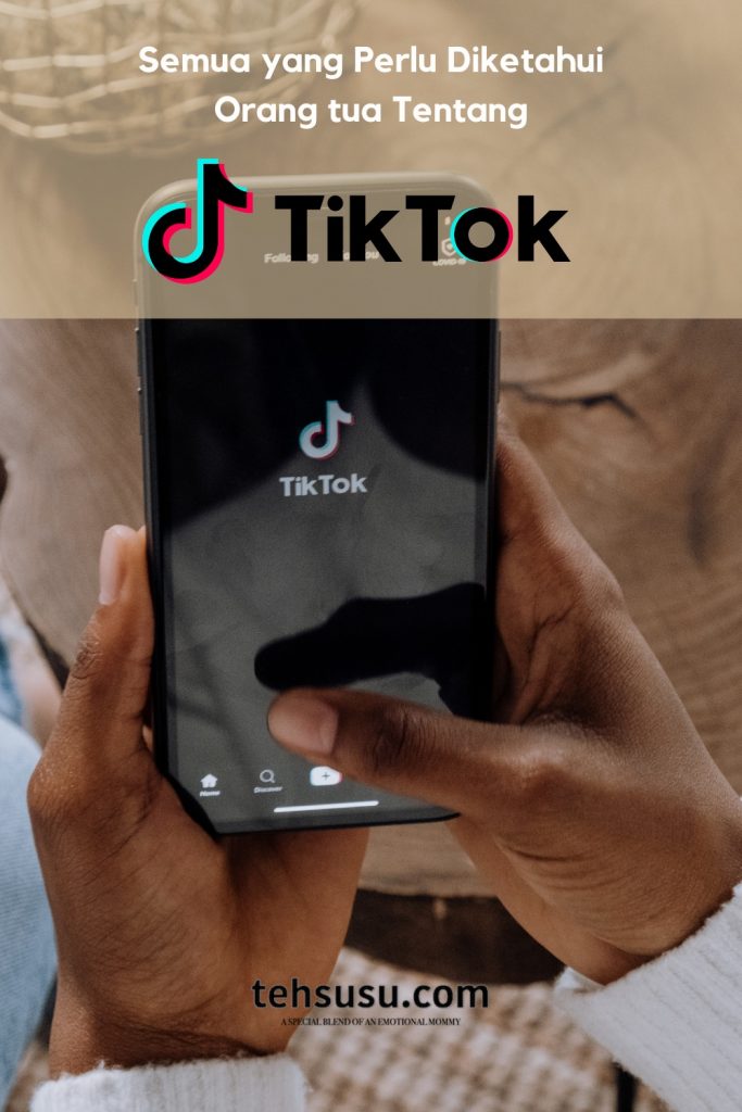 apa itu TikTok