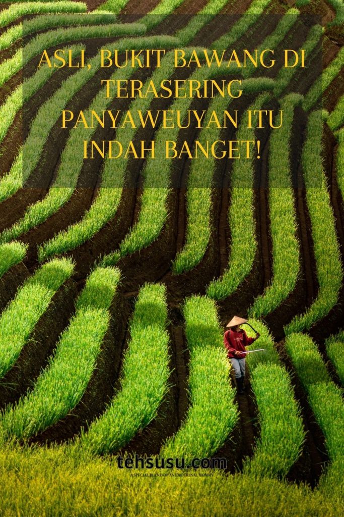 Indahnya Terasering Panyaweuyan Majalengka