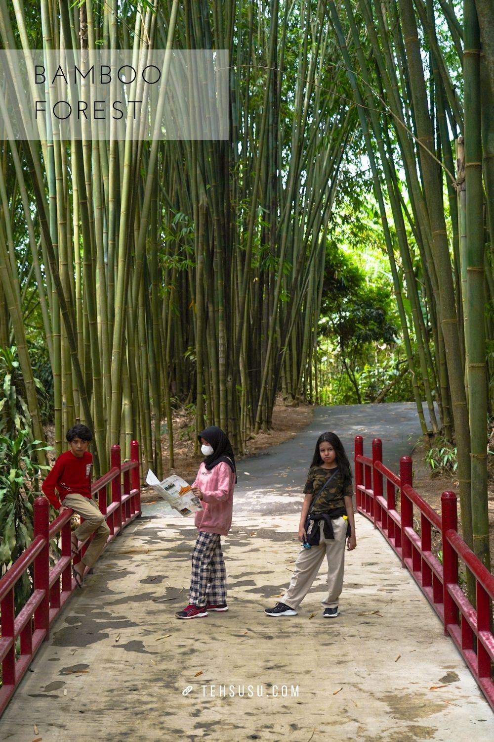 bamboo forest di the hill sibolangit