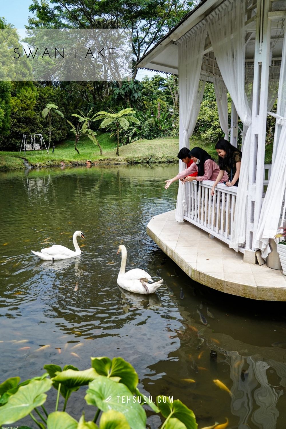 swan lake di the hill sibolangit