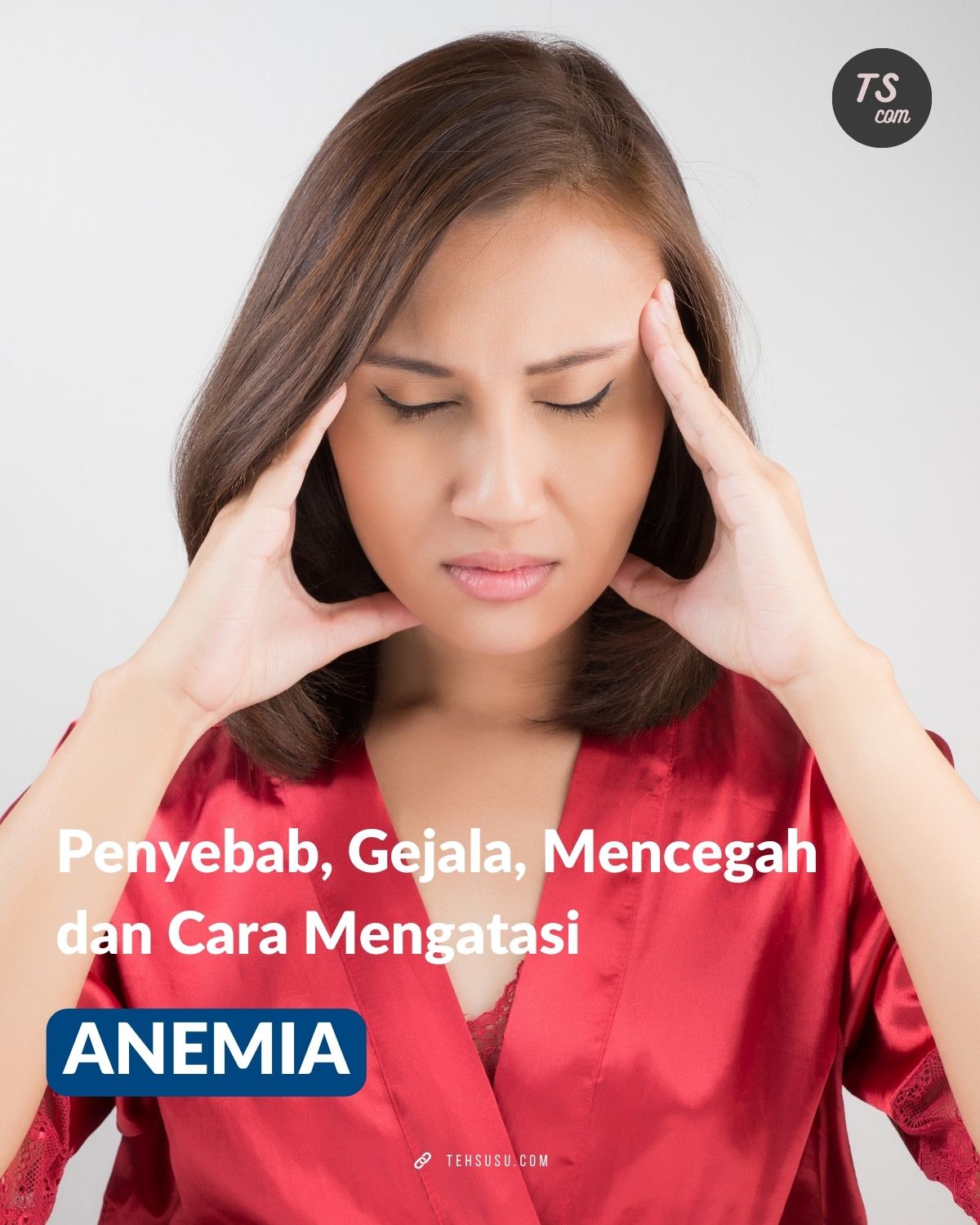 apa itu anemia