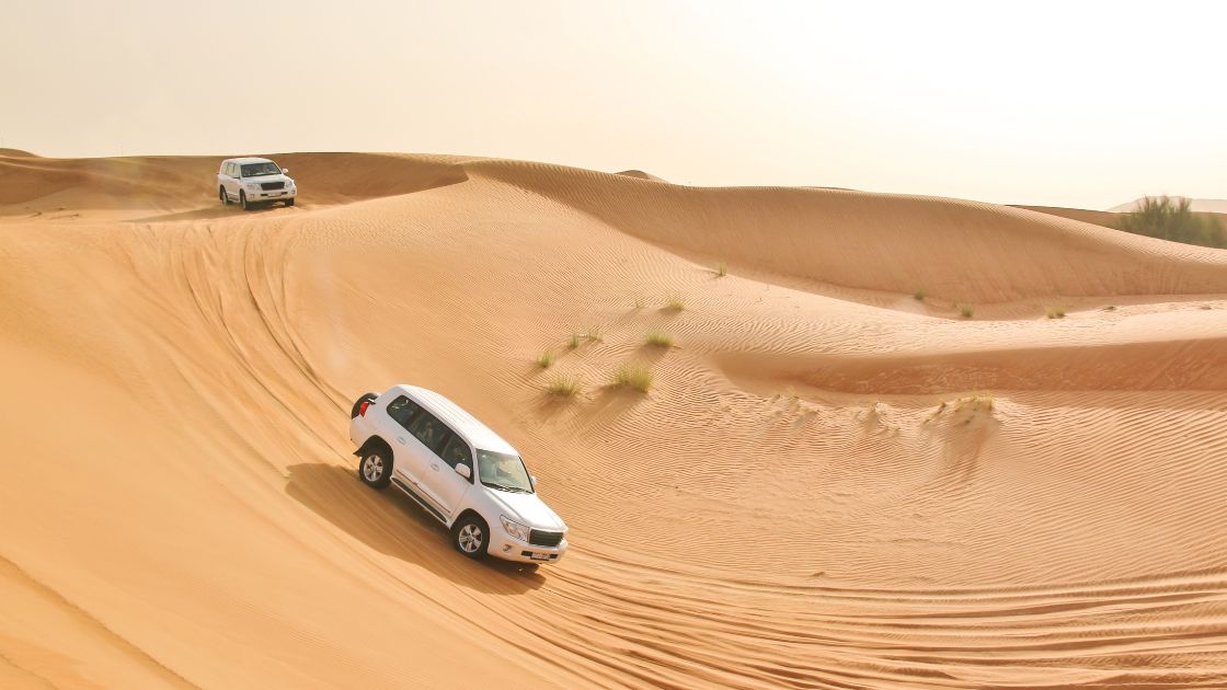 kenapa harus ke dubai - desert activities