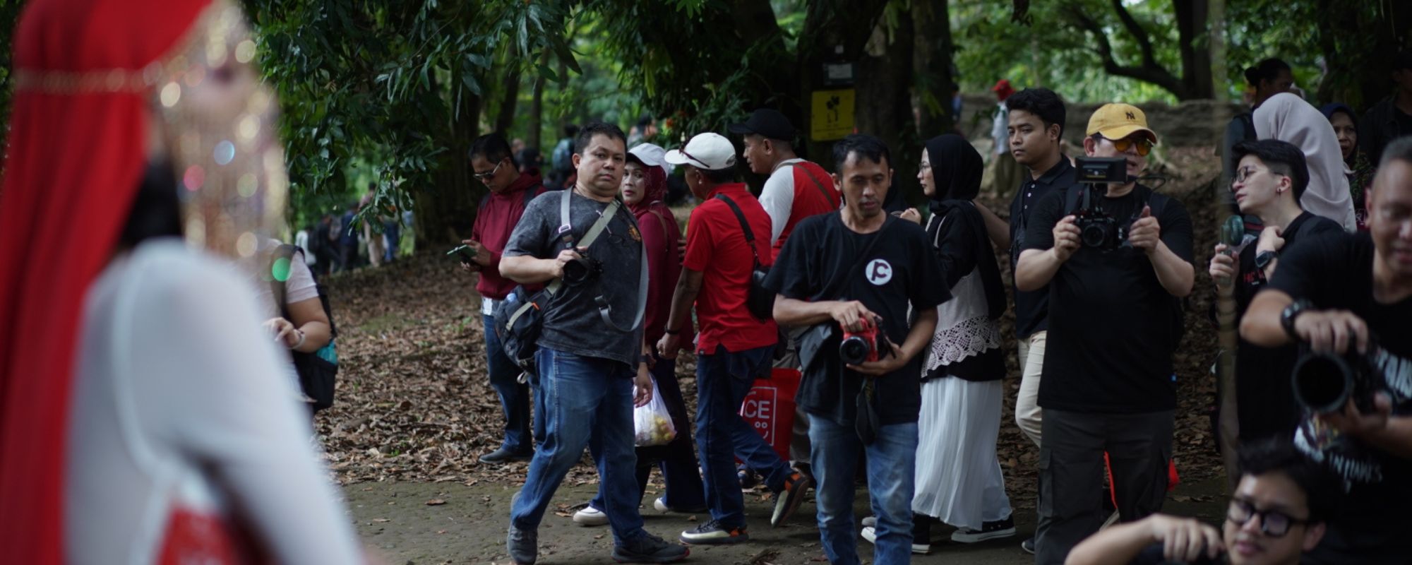 hunting foto di kebun raya bogor