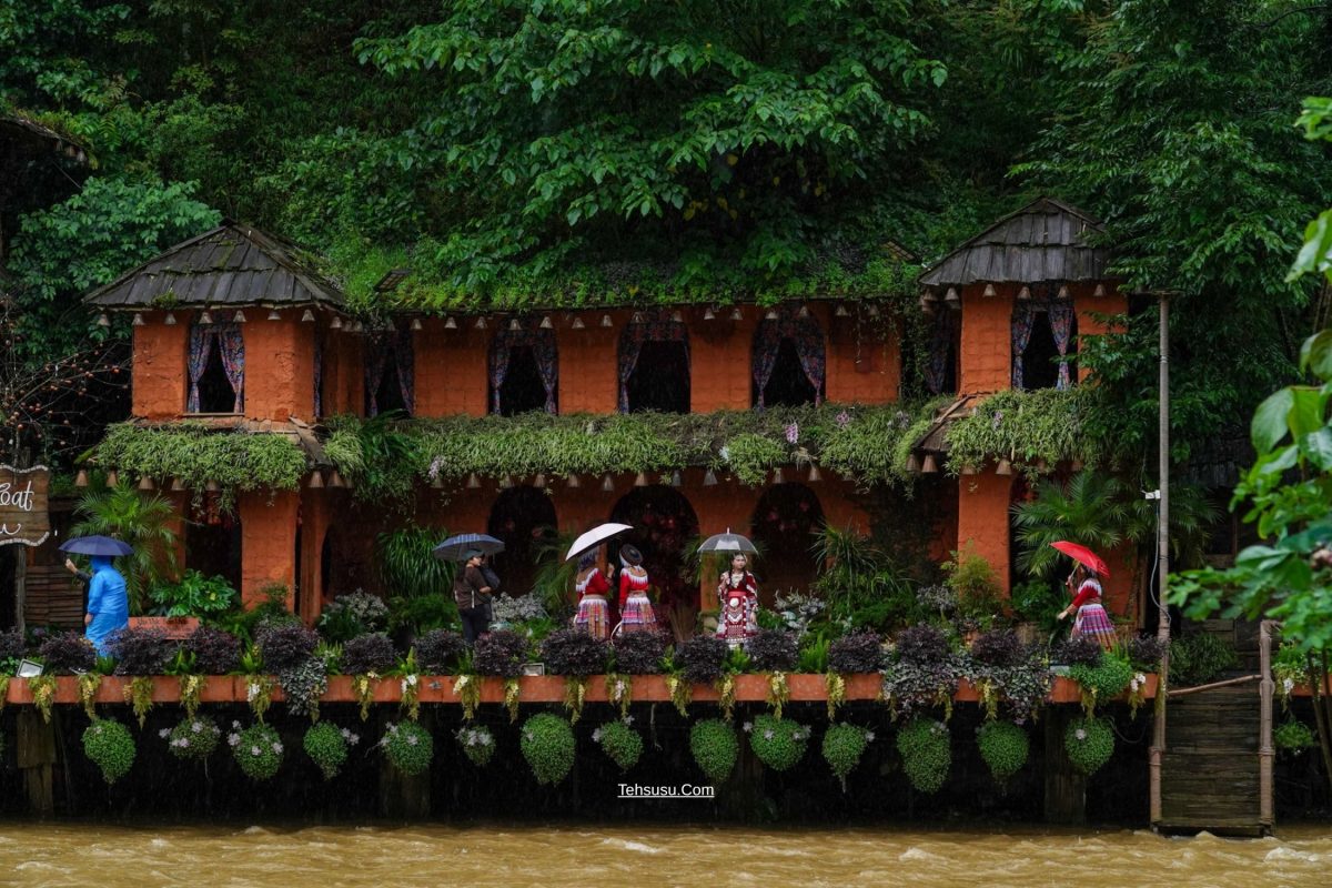 cat cat village