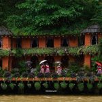 cat cat village