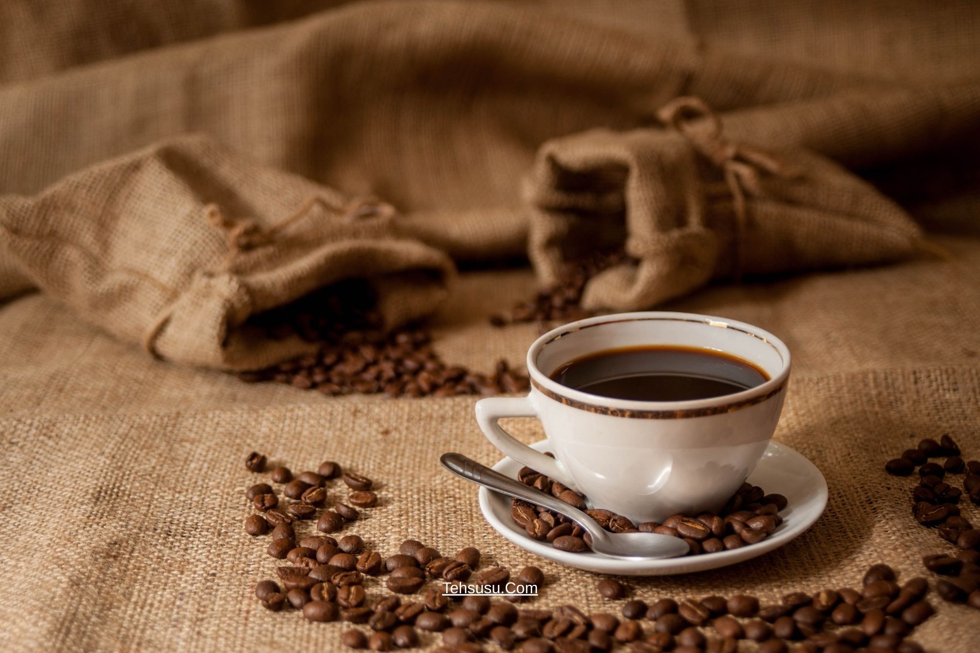 tentang kopi jawa