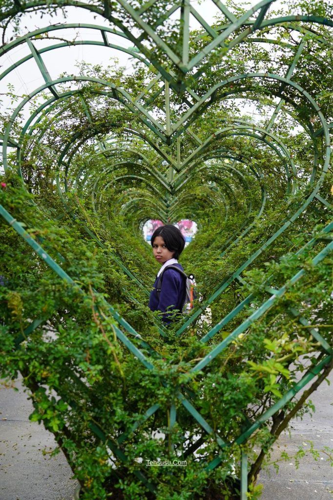 Taman cantik di Stasiun Fansipan