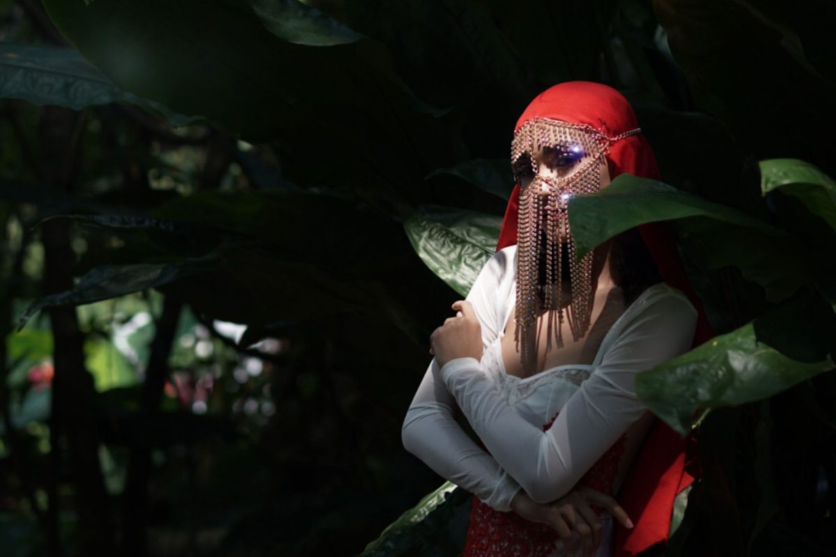 Panduan Lengkap Street Photography di Kebun Raya Bogor