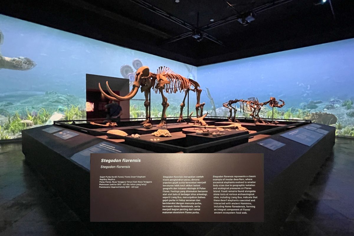 Pameran Sejarah Awal di Museum Nasional Indonesia